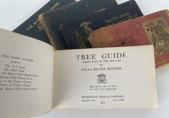 Julia Ellen Rogers / Pocket Nature Guides set of 5 birds butterflies flowers