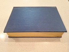 Babbit by Sinclair Lewis 1922 First Edition, First Print, Very Good Conditon