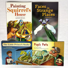 1st Grade Readers Multi-Level Reading Library #5 – 21 Books Levels E-M