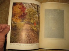 TREES, 1907 Book Nature Library Vol XI: Doubleday, HC, Julia Ellen Rogers