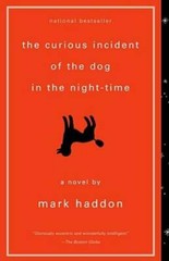 The Curious Incident of the Dog in the Night-Time – Paperback – VERY GOOD