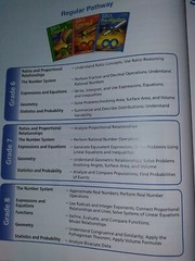Big Ideas Math Pre Algebra Teacher’s Edition NL22
